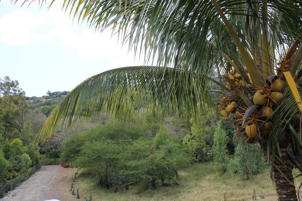 Villa Le Chapo Port Mathurin Bilik gambar